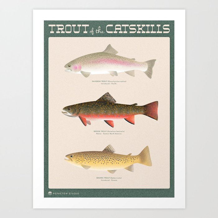Trout Of The Catskills Art Print