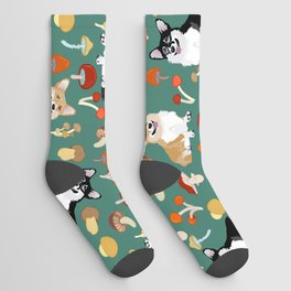 Happy Corgis In Fall Forest Searching For Mushrooms I - Teal  Socks