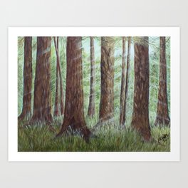 A Forest of Cedar Art Print