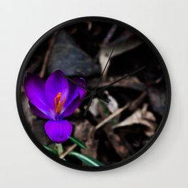 Purple Crocus Wall Clock