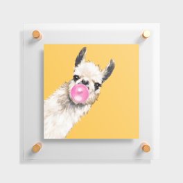 Bubble Gum Sneaky Llama in Yellow Floating Acrylic Print
