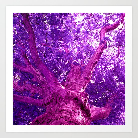 old tree I Art Print