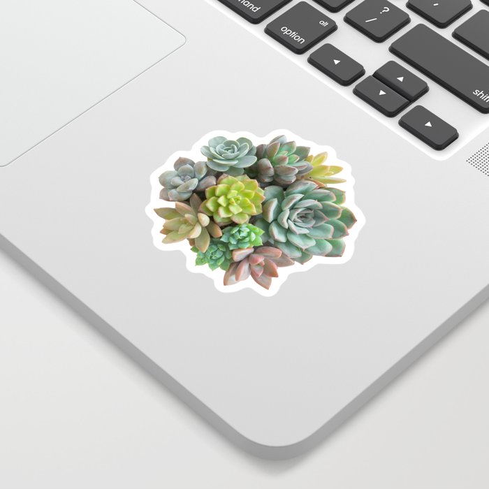 Succulent Bunch Sticker