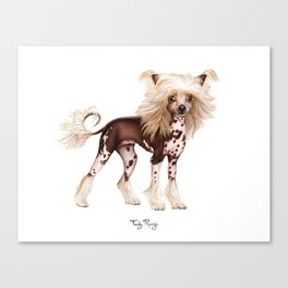 Chinese crested (naked) dog Canvas Print