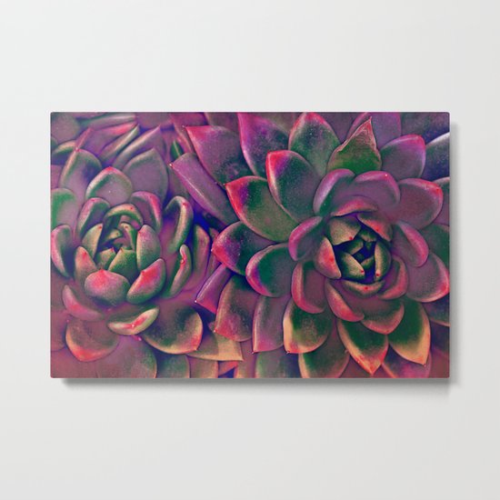 Green & violet succulent Metal Print