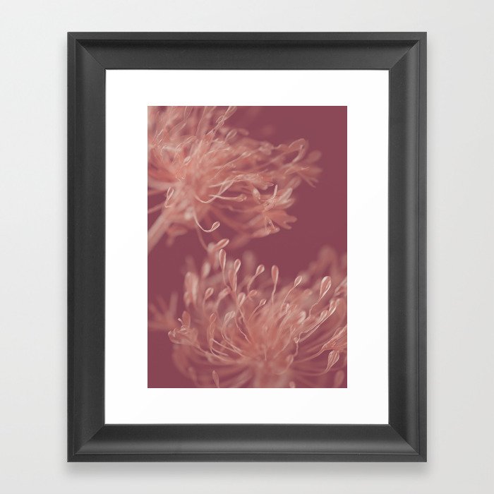 Flower Abstract Red/Pink Framed Art Print