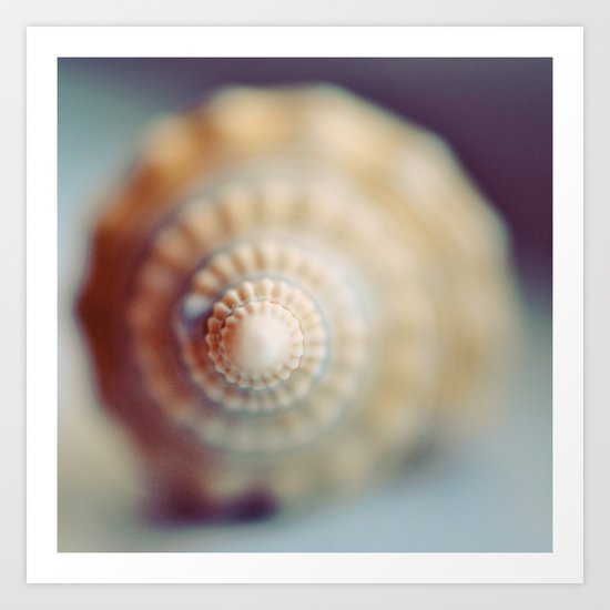 Shell Art Print
