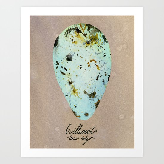 GUILLEMOT EGG Art Print