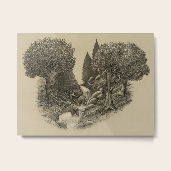 Bear Creek Metal Print