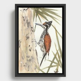 Palm Woodpecker Framed Canvas