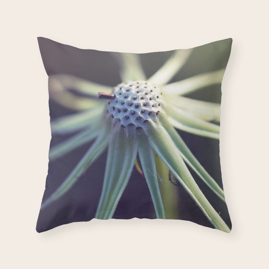 Circular Throw Pillow