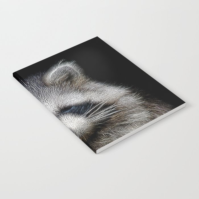Spiked Raccoon in Black and White Notebook