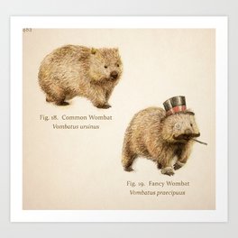 The Fancy Wombat Art Print