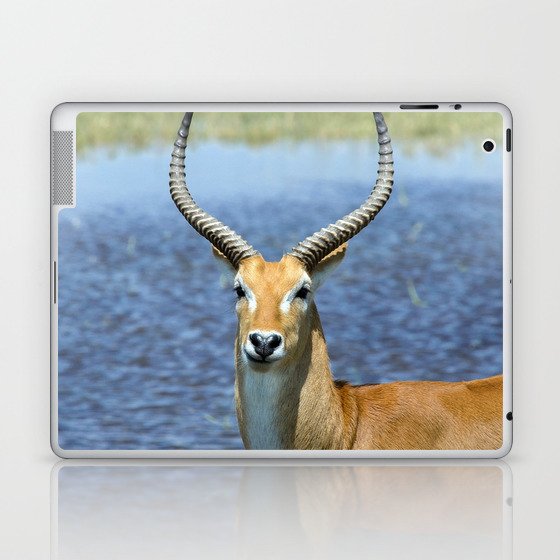 South Africa Photography - Beautiful Puku Standing By The Sea Laptop & iPad Skin