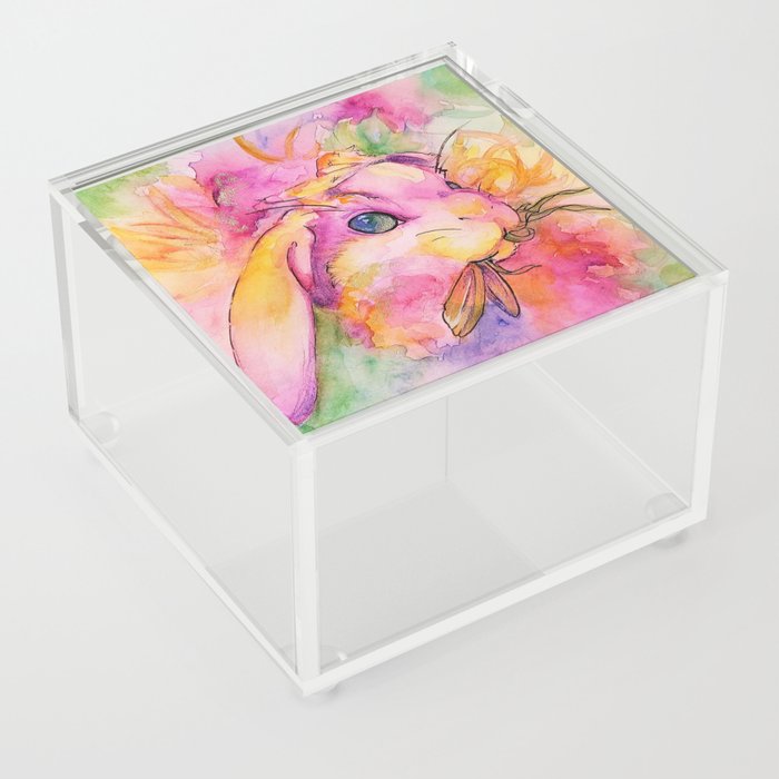 Bunny Acrylic Box