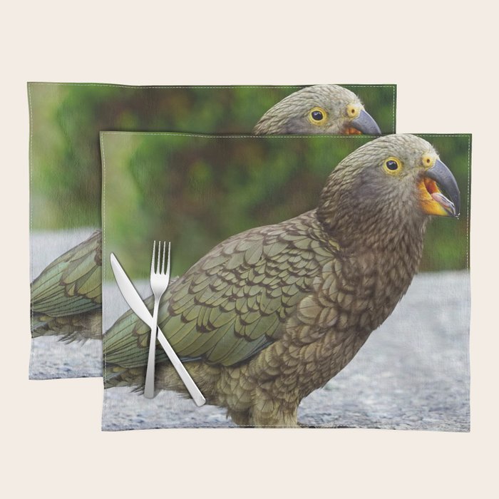 New Zealand Photography - Kea Sitting On The Asphalt Placemat