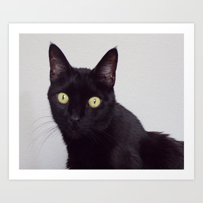 Pretty Kitty Black Cat With Huge Green Eyes Halloween Cat Art