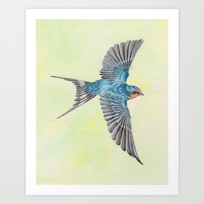 Barn Swallow In Flight Art Print By Frauleinkatrina Society6