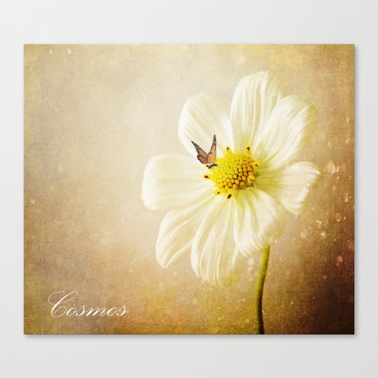 Cosmos Canvas Print