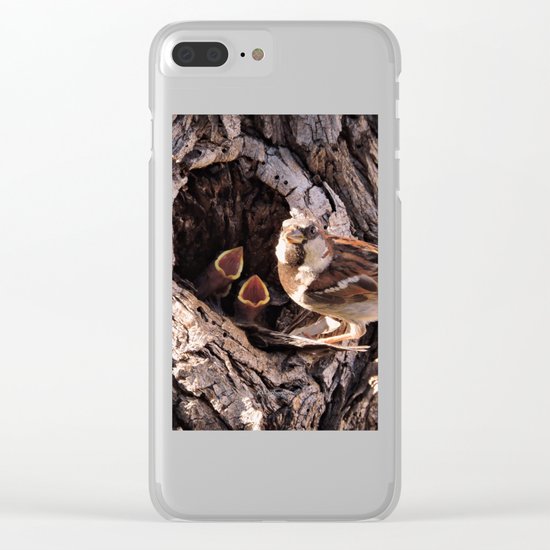 House Sparrow Keeping House Clear iPhone Case