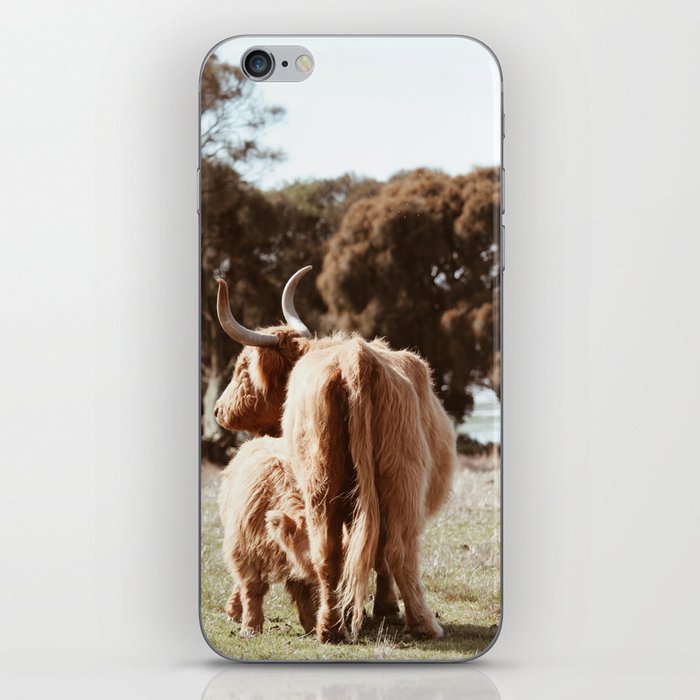 Highland Cow  iPhone Skin
