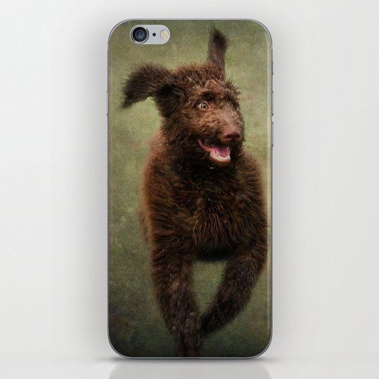 I am not a Muppet...I am a Labradoodle!!!! iPhone Skin
