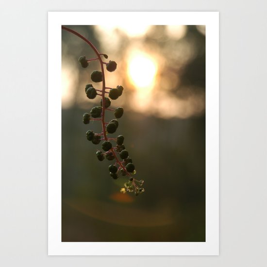 Light Art Print