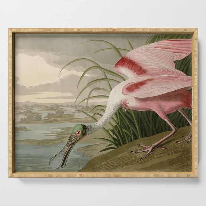 Roseate Spoonbill from Birds of America by John James Audubon Serving Tray