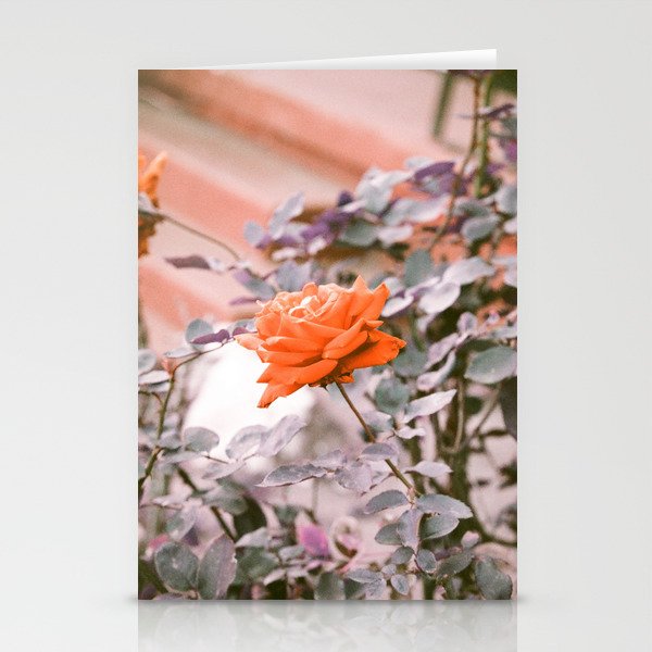 Red Rose in Purplechrome  Stationery Cards
