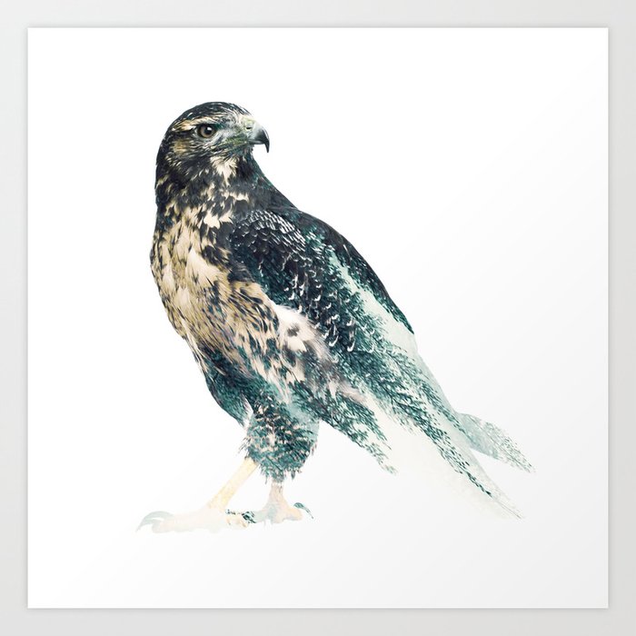 Falcon Art Print by rizapeker Society6