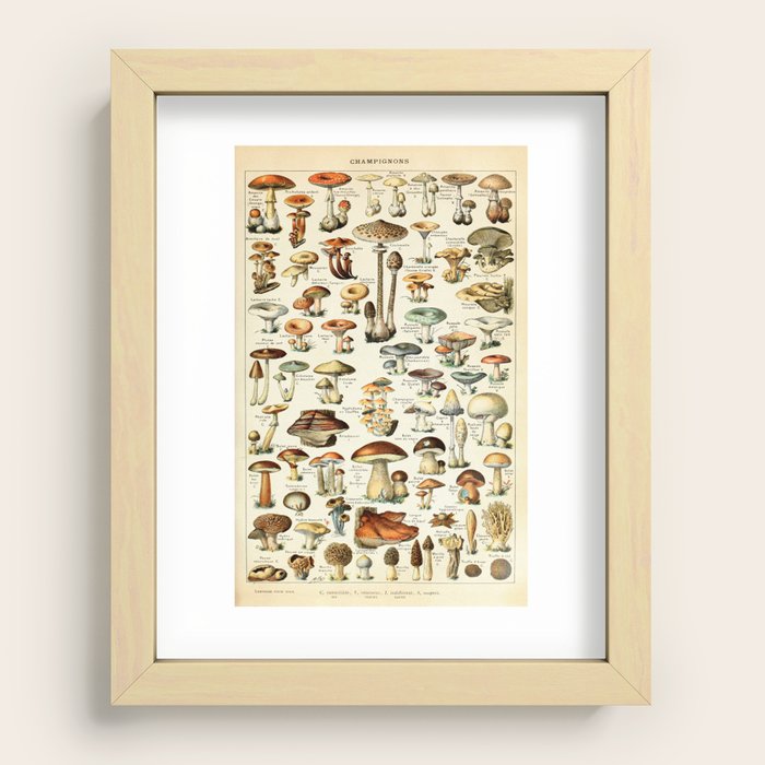 Recessed Framed Print