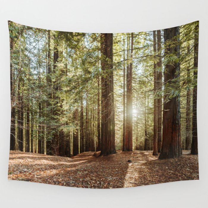 Redwood forest Wall Tapestry