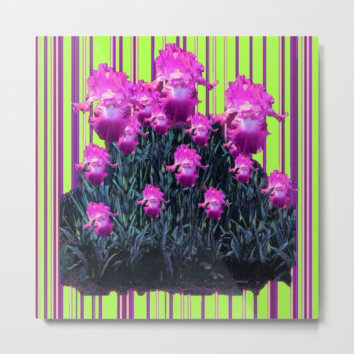 Modern Chartreuse Striped Pink Iris Garden Art Metal Print