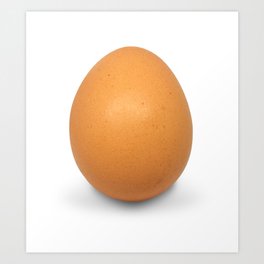 Chicken Egg , the brown eggs Artistic inspiration Art Print