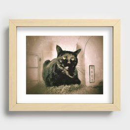 Zen Cat Recessed Framed Print