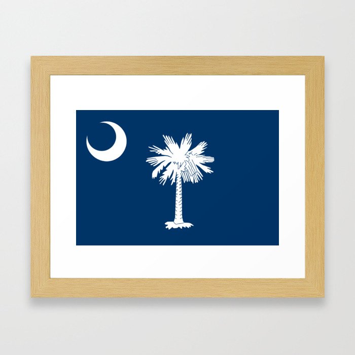 flag south carolina,america,us,Savannah,Palmetto,Carolinian,cotton,Confederate,Goose Creek,Rock Hill Framed Art Print