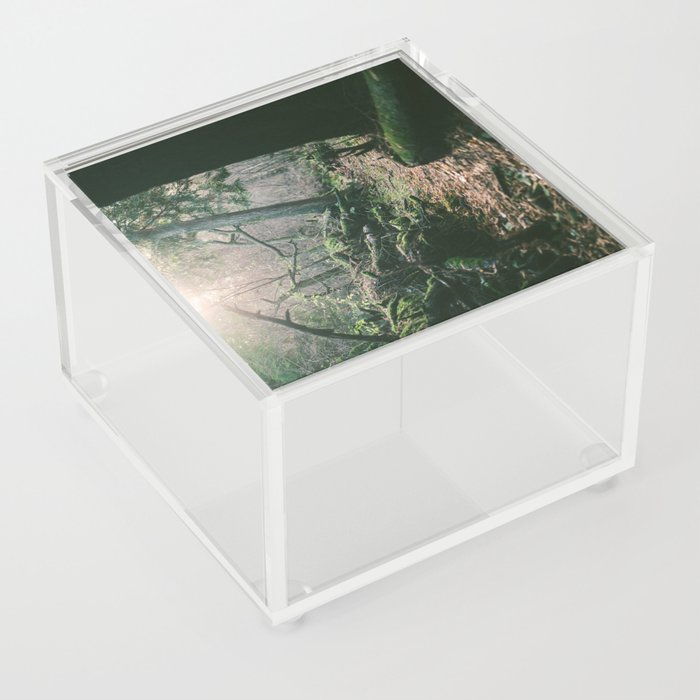 ORCAS ISLAND FOREST Acrylic Box