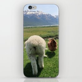 Buddies (Photograph of Lamb and Chicken) iPhone Skin