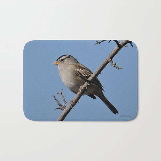 A White-Crowned Sparrow Eyes the Botanic Garden Bath Mat
