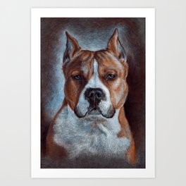 Amstaff Art Print