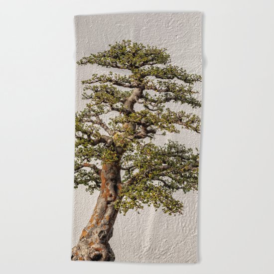 Tree of Life Beach Towel