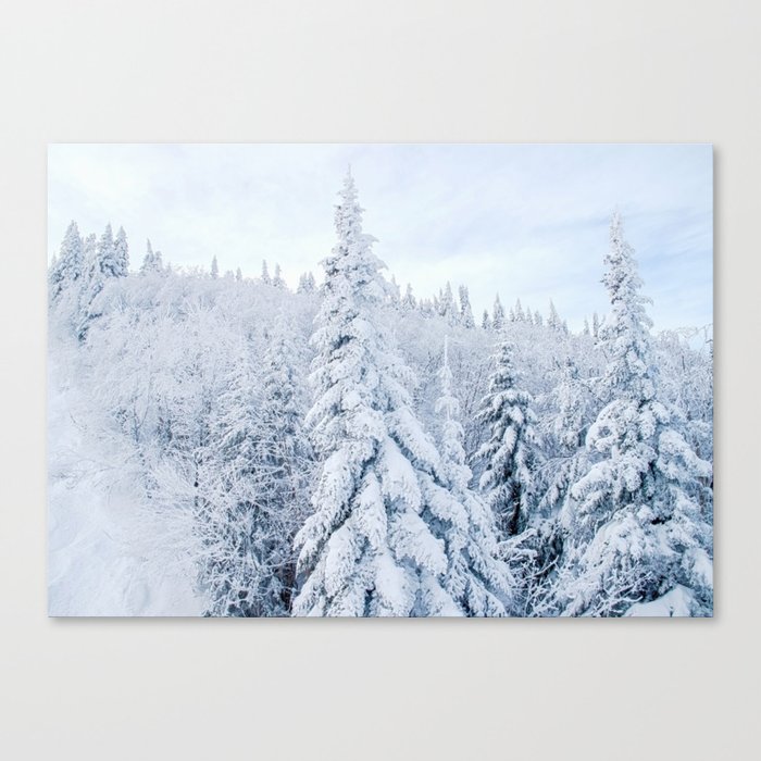 Snow covered forest Canvas Print