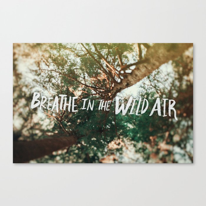 Breathe in the Wild Air Canvas Print