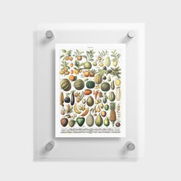 FRUITS. Vintage Poster. Floating Acrylic Print