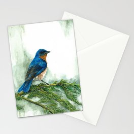 Western Bluebird Stationery Cards