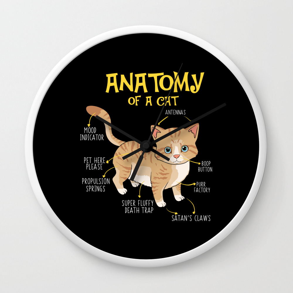 Funny Anatomy Of A Cat Kitten Feline T Shirt Wall Clock By Pubeast Society6