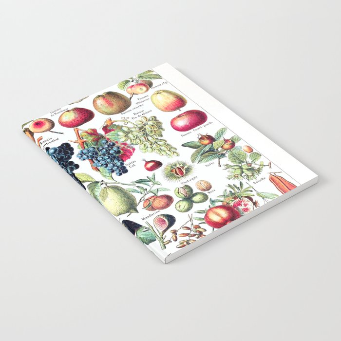 Adolphe Millot - Fruits pour tous - French vintage poster Notebook