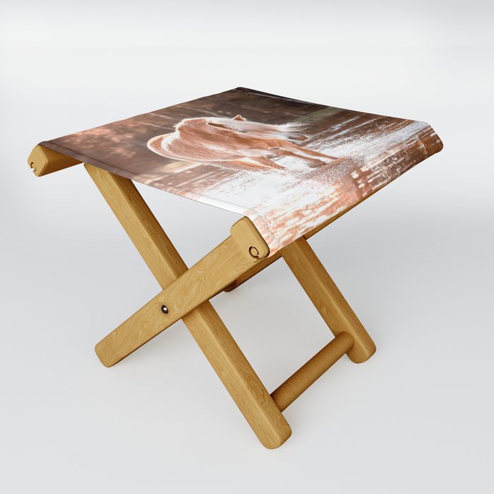 Horse in the water during golden hour | Haflinger | The Netherlands | Animal Folding Stool