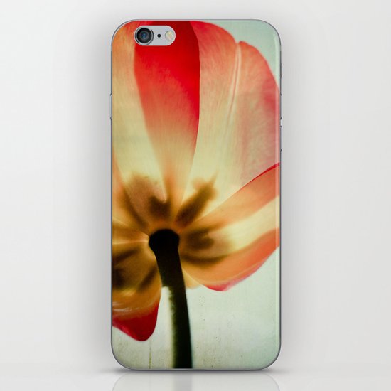 Bloom iPhone & iPod Skin