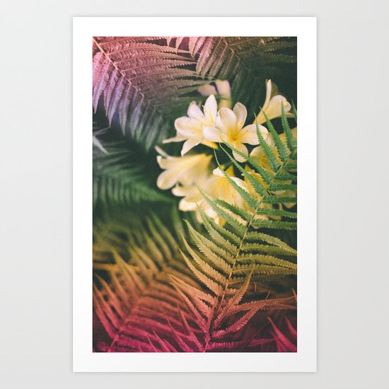Jolly Jane Art Print